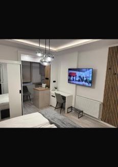 Satu Mare Apartment | Two Residence