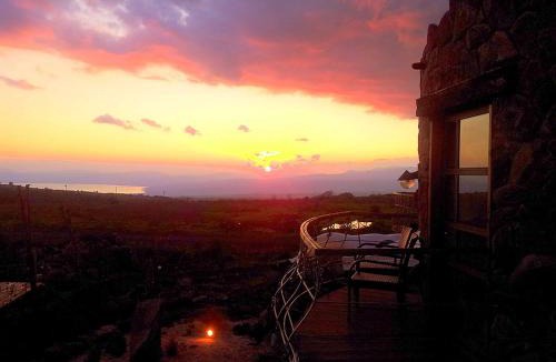 Ani'am Cabin | Two Snales