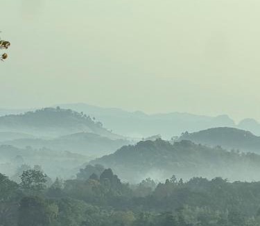 Takua Thung Hotel | Two Tree Cafe At Suanmuangthong