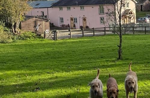 Llanybri House | Ty Llaeth 2-Bed Cottage Sleeps 4 Pet Friendly