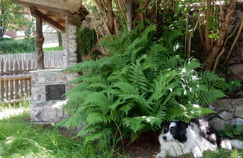 Sarentino Cabin | Typical South Tyrolean vacation cottage with garden and terrace