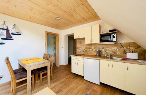 Stare Splavy Apartment | U Marků