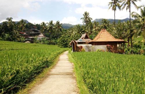 Sukasada Hotel | Uma Nirmala Aling-Aling