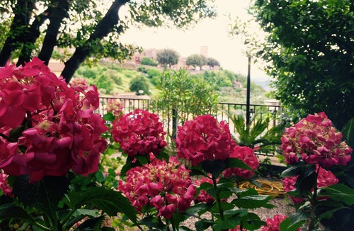 Otricoli Hotel | Umbria