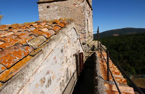 Barattano Apartment | Umbria's Poolside Charm