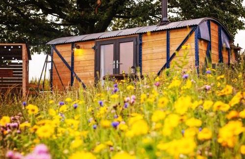 Bedwas Trethomas & Machen Other | Under the Oak Glamping