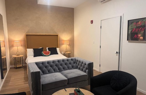 Downtown Tucson Hotel | Unicorn Zebra