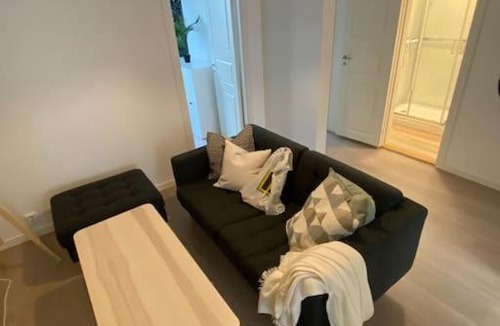 Trondheim Apartment | Unik sentral studioleilighet, med 3 soverom. HNH.