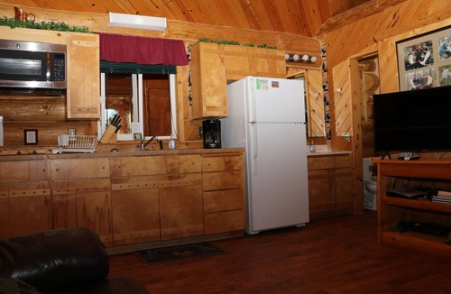 Anchor Point Cabin | Unique Alaskan log home in trees & wild flowers on 14-acre private homestead.