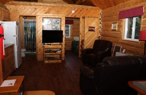 Anchor Point Cabin | Unique Alaskan log home in trees & wild flowers on 14-acre private homestead.
