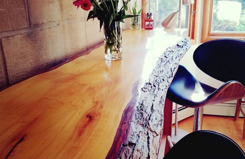 Dicken House | Unique Ann Arbor Short Term Rental - Perfect for Football Weekends & Graduation