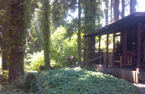 Silver Lake Cabin | Unique Cabin in the Woods Near Mount St. Helens