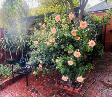 Bendigo House | Unique CBD home