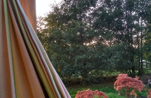 Waldmuenchen Apartment | Unique feel-good experience in the circus wagon