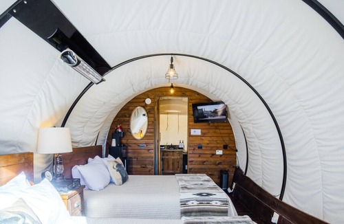 Virgin Cabin | Unique Pet Friendly Covered Wagon with 2 QB #24