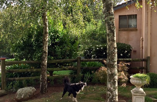 Wildes Meadow House | Unique self-contained farm stay in the picturesque Southern Highlands