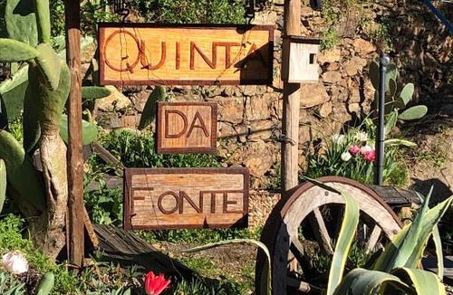 Figueiro dos Vinhos Other | Unique Tiny House with Natural Building Techniques