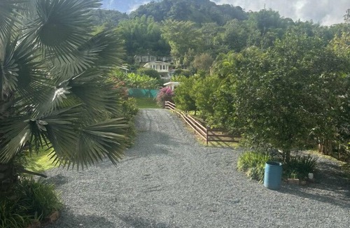 Salto Abajo Villa | Unique Utuado Treehouse Haven with Wraparound Views