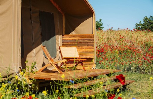 Ouddorp RV Rental | Unique Wikkelhouse camping tent