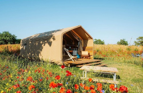 Ouddorp RV Rental | Unique Wikkelhouse camping tent