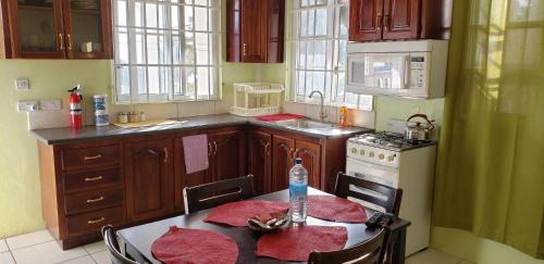 Roseau Apartment | Unit 3 Private Apartment - Roseau