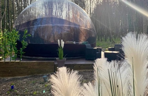 Saint-Evarzec Cabin | Unusual accommodation, spend a night in the Bubble Jungle under the stars