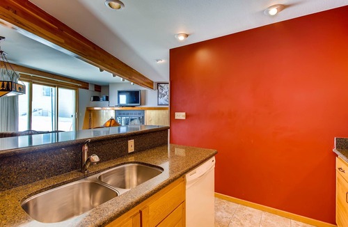 Mount Crested Butte Condo | Updated 1 BR Condo - Ski-in/Ski-out Access by RedAwning