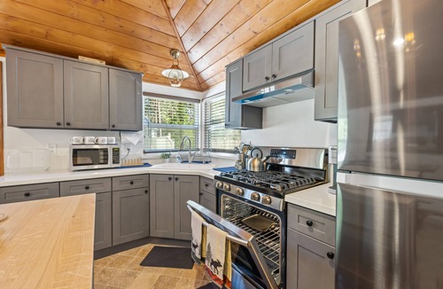 Twin Peaks Cabin | Updated Romantic Cabin close to Lake and shoppings Tesla Charger & huge parking