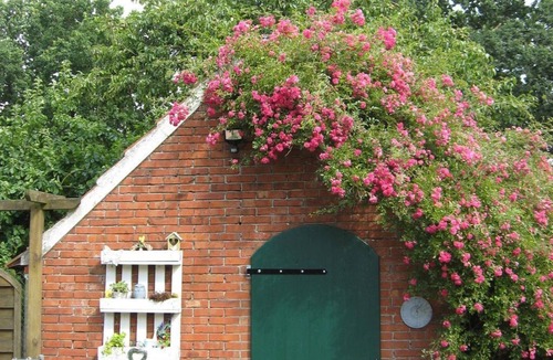 Hintertheene Apartment | Upper apartment - Holiday apartment Kröger