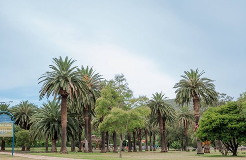 East Tamworth House | Upper Bliss – Family-Friendly 4BR by the Park