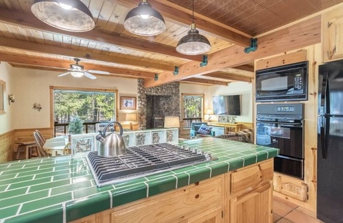 Shingletown Cabin | Upscale Mountain Retreat 9 Miles to Lassen National Park EV Charging