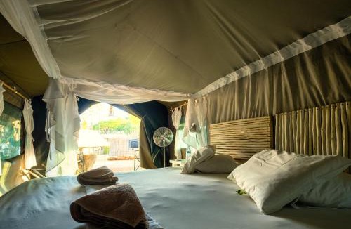 Windhoek Other | Urban Camp