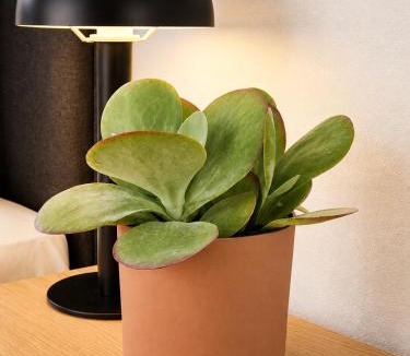 Stuttgart Apartment | UrbanNEST