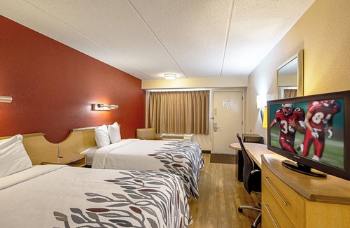 Milford Hotel | Simple, Clean Room Perfect for Budget-Friendly Milford Stays