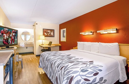 Milford Hotel | Convenient Room Close to Silver Sands and Milford Dining