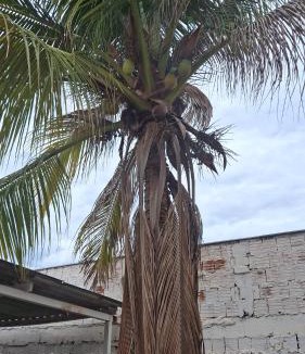 Jardim Industriario House | utilizada