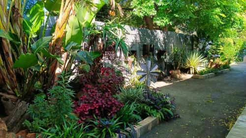Alberton House | Utopia Guest House