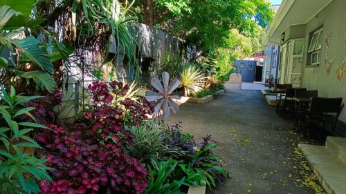 Alberton House | Utopia Guest House