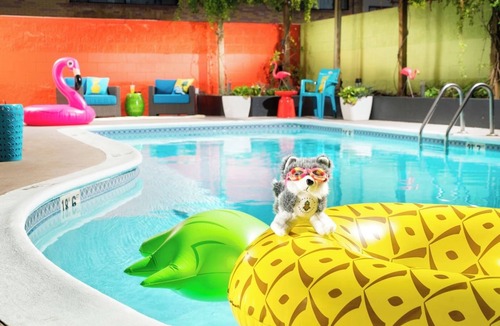 University District Hotel | UW Campus Close, Two Queen w/Tub, Staypineapple, Cycle the City
