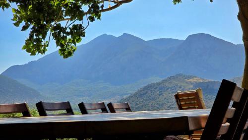 Datca Villa | Uzun Ev - Architectural Gem - Contemporary Rustic Villa with Stunning Valley View