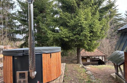 Siculeni House | Vén Fenyő Kunyhó