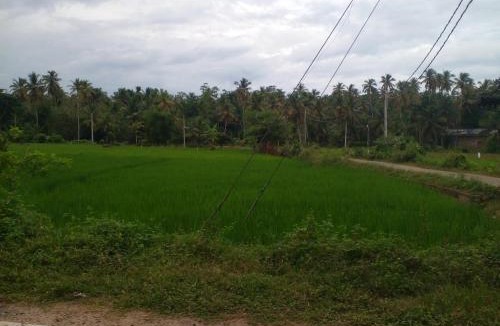 Beliatta Villa | V Three Star