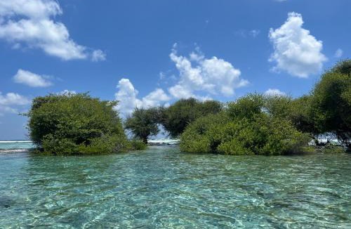 Thaa Atoll House | Vaadhee Homestay