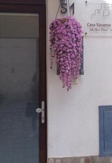 Grottole House | Vacanza alla Chiesa Diruta