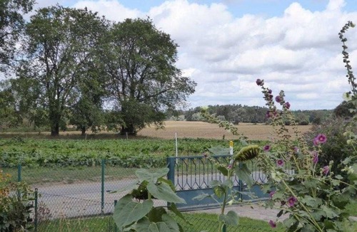 Feldberger Seenlandschaft Apartment | Vacation apartment Garten - Holiday apartment Mooskoppel