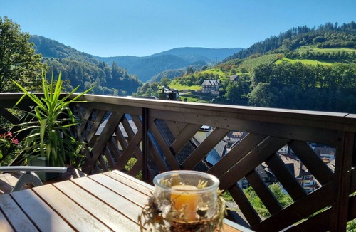 Bad Peterstal-Griesbach Apartment | Vacation apartment Panter- dream view in the Black Forest