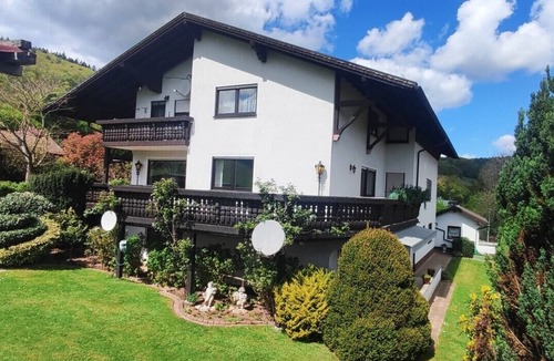 Hirschhorn Apartment | Vacation apartment Igel 🦔 in a quiet location, beautiful views near Eberbach