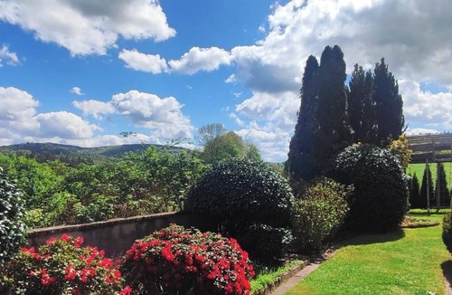 Hirschhorn Apartment | Vacation apartment Igel 🦔 in a quiet location, beautiful views near Eberbach