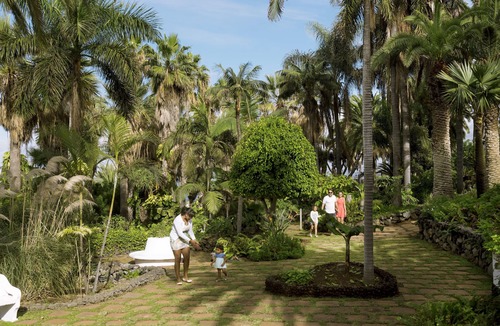 Los Realejos Apartment | Vacation apartment/apartment for 2 guests with 40m² in Puerto de la Cruz (84055)