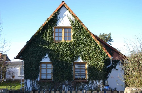 Vitte Apartment | Vacation apartment 2 west - Holiday home Butje